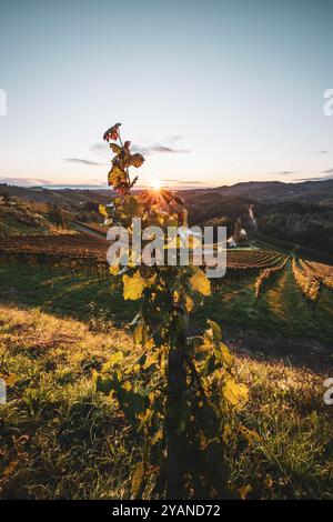 Sonnenaufgang über den Weinreben und Weinhügeln der Südsteiermark entlang der südsteirischen Weinstraße in der Nähe von Leutschach im Herbst AM 06.10.2024. // lever de soleil sur les vignes et les collines viticoles du sud de la Styrie le long de la route des vins de Styrie du Sud près de Leutschach en automne le 6 octobre 2024. - 20241006 PD26275 crédit : APA-PictureDesk/Alamy Live News Banque D'Images