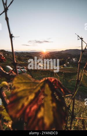 Sonnenaufgang über den Weinreben und Weinhügeln der Südsteiermark entlang der südsteirischen Weinstraße in der Nähe von Leutschach im Herbst AM 06.10.2024. // lever de soleil sur les vignes et les collines viticoles du sud de la Styrie le long de la route des vins de Styrie du Sud près de Leutschach en automne le 6 octobre 2024. - 20241006 PD26273 crédit : APA-PictureDesk/Alamy Live News Banque D'Images