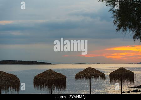 Parasols de palmiers sur une plage en Grèce, ciel nuageux au coucher du soleil. Banque D'Images