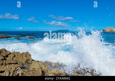 Côte rocheuse de la plage de la pointe des Châteaux, île de Guadeloupe Banque D'Images