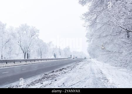 route interstate d'hiver avec arbres enneigés les jours de couvert Banque D'Images