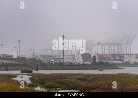 Stanford-le-Hope, Essex, Royaume-Uni. 15 octobre 2024. DP World a révélé un plan d’un milliard de livres sterling pour agrandir le port à conteneurs London Gateway lors du sommet sur l’investissement du gouvernement. Le port a ouvert en 2013 pour faciliter les plus grands porte-conteneurs sur les routes commerciales du monde, et une fois l’expansion terminée, il deviendrait le plus grand port à conteneurs du Royaume-Uni. Les plans comprennent un deuxième terminal ferroviaire et ajouteront 400 emplois permanents supplémentaires au site. Grues dans la brume Banque D'Images