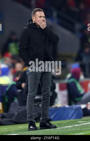 Cardiff, Royaume-Uni. 14 octobre 2024. Craig Bellamy entraîneur du pays de Galles lors du match de l'UEFA Nations League au Cardiff City Stadium, Cardiff. Le crédit photo devrait se lire comme suit : Darren Staples/Sportimage crédit : Sportimage Ltd/Alamy Live News Banque D'Images