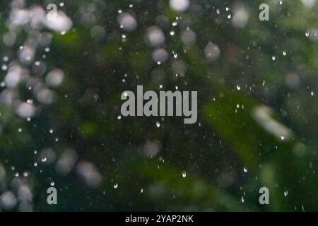 Fond de pluie tombante, pluie lourde tombant du ciel, gros plan des précipitations dans la jungle, jour pluvieux dans la forêt tropicale, gouttes de pluie sur beau fond vert flou Banque D'Images