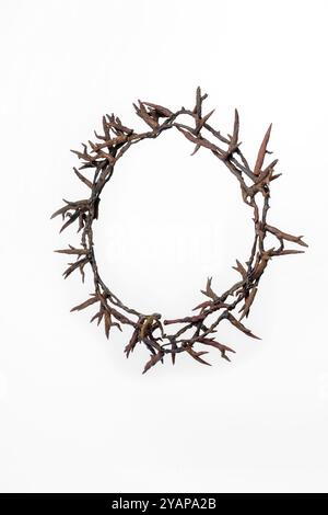 Brindilles et branches des épines de la couronne de jésus-christ isolées sur fond blanc. Symbole de foi en Dieu, Fête du christianisme, Pâques, vendredi Saint. Re Banque D'Images