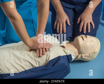 Mannequin de réanimation adulte utilisé pour la formation du personnel médical. Photo de Paul Slater Banque D'Images