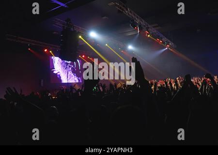 Foule de gens dansant au concert Banque D'Images