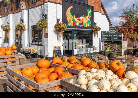 Citrouilles en vente à la mi-octobre à Over Farm Market, Gloucester, Angleterre Royaume-Uni Banque D'Images