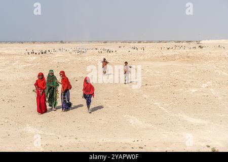 Bergers de chèvres, garçons et filles avec troupeau de chèvres, désert de Danakil, Ethiopie Banque D'Images