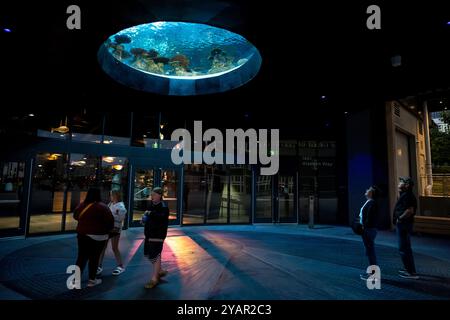 Seattle, États-Unis. 26 septembre 2024. Le nouvel Aquarium de Seattle Ocean Pavilion sur le front de mer. Banque D'Images