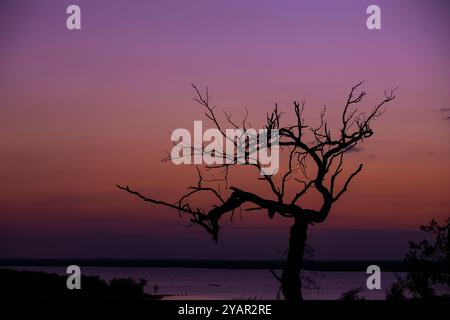 Coucher de soleil spectaculaire sur le ciel coloré au lac Joe Pool Banque D'Images