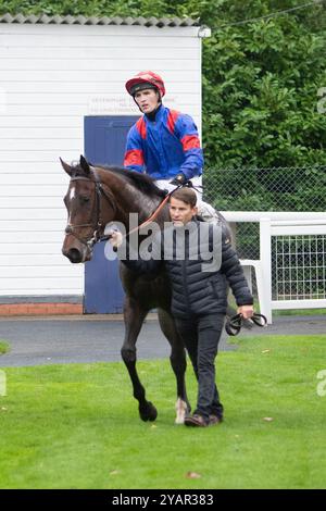 Windsor, Berkshire, Royaume-Uni. 14 octobre 2024. MAID IN CHELSEA pilotée par le jockey Dylan Hogan (casquette rouge) remporte le Berkshire Winter million, Windsor 17th January novice Stakes (Class 4) (GBB) lors de la finale Flat Season au Royal Windsor Racecourse à Windsor, Berkshire. Propriétaire K Snell & Partners, entraîneur Jack Jones, Newmarket, éleveur Rosetown Bloodstock Ltd Crédit : Maureen McLean/Alamy Live News Banque D'Images