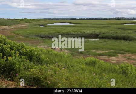 P.I. comme il est connu des habitants est une île barrière, située sur la côte nord-est du Massachusetts. Au nord de Cape Ann, il est à environ 18 miles lon Banque D'Images