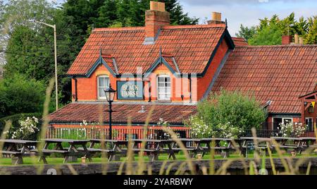 The Black Horse Inn, sur le canal Kennet et Avon à Devizes, Wiltshire, West Country, Angleterre, Royaume-Uni. Prise en juin 2024. Été Banque D'Images