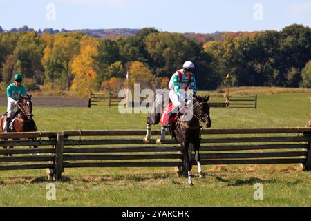 Geneseo, NY, États-Unis - 12 octobre 2024 - Horse and Rider franchit Un saut au-dessus du bois pendant les courses Genesee Valley Hunt. Septième course, Martha S. Wadswo Banque D'Images