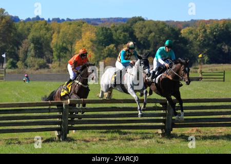 Geneseo, NY, États-Unis - 12 octobre 2024 - Horse and Rider franchit Un saut au-dessus du bois pendant les courses Genesee Valley Hunt. Septième course, Martha S. Wadswo Banque D'Images