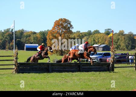 Geneseo, NY, États-Unis - 12 octobre 2024 - Horse and Rider franchit Un saut au-dessus du bois pendant les courses Genesee Valley Hunt. Huitième course, le Cross Country Banque D'Images