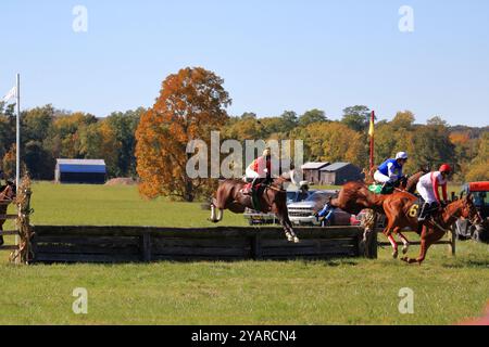 Geneseo, NY, États-Unis - 12 octobre 2024 - Horse and Rider franchit Un saut au-dessus du bois pendant les courses Genesee Valley Hunt. Huitième course, le Cross Country Banque D'Images