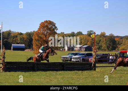 Geneseo, NY, États-Unis - 12 octobre 2024 - Horse and Rider franchit Un saut au-dessus du bois pendant les courses Genesee Valley Hunt. Huitième course, le Cross Country Banque D'Images