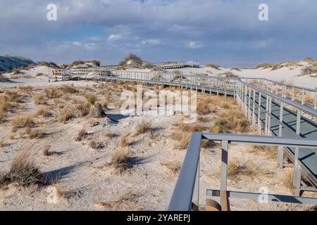 Interdune Boardwalk sur les dunes de sable de gypse dans le parc national de White Sands près d'Alamogordo, Nouveau-Mexique Banque D'Images