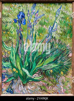 Iris, 1890, Vincent Van Gogh (1853-1890), Poets & Lovers Exhibition, National Gallery, Londres, Royaume-Uni Banque D'Images