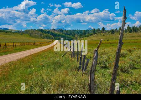 Chemin de terre avec clôture de fil barbelé robuste. Banque D'Images