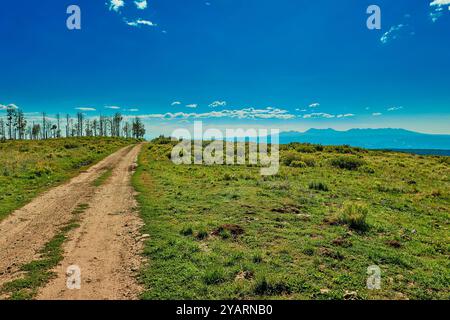 Route à quatre roues dans la forêt nationale d'Uncompahgre avec les montagnes de la Sal en arrière-plan. Banque D'Images