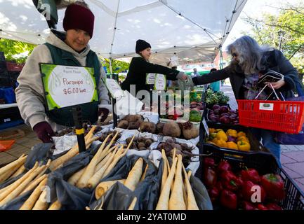 Toronto, Canada. 15 octobre 2024. Une femme fait des courses dans un marché de fermiers à Toronto, Canada, on Oct. 15, 2024. L'indice des prix à la consommation (IPC) du Canada a augmenté de 1,6 % d'une année à l'autre en septembre, en baisse par rapport à un gain de 2 % en août, a déclaré Statistique Canada mardi. Crédit : Zou Zheng/Xinhua/Alamy Live News Banque D'Images