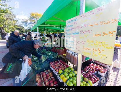 Toronto, Canada. 15 octobre 2024. Les gens font leurs courses dans un marché de producteurs à Toronto, Canada, on 15 octobre 2024. L'indice des prix à la consommation (IPC) du Canada a augmenté de 1,6 % d'une année à l'autre en septembre, en baisse par rapport à un gain de 2 % en août, a déclaré Statistique Canada mardi. Crédit : Zou Zheng/Xinhua/Alamy Live News Banque D'Images