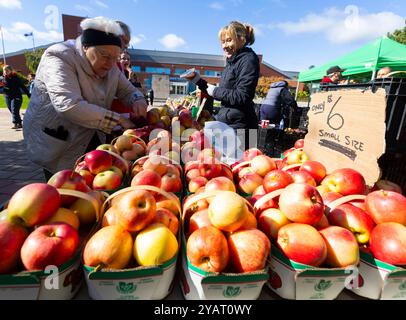 Toronto, Canada. 15 octobre 2024. Une femme fait des courses dans un marché de fermiers à Toronto, Canada, on Oct. 15, 2024. L'indice des prix à la consommation (IPC) du Canada a augmenté de 1,6 % d'une année à l'autre en septembre, en baisse par rapport à un gain de 2 % en août, a déclaré Statistique Canada mardi. Crédit : Zou Zheng/Xinhua/Alamy Live News Banque D'Images