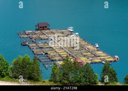 Ferme piscicole sur le lac Zaovine dans le parc national de Tara en Serbie. Banque D'Images