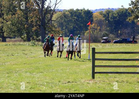 Geneseo, NY, États-Unis - 12 octobre 2024 - Horse and Rider franchit Un saut au-dessus du bois pendant les courses Genesee Valley Hunt. Dixième course, la vallée de Genesee Banque D'Images