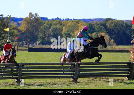 Geneseo, NY, États-Unis - 12 octobre 2024 - Horse and Rider franchit Un saut au-dessus du bois pendant les courses Genesee Valley Hunt. Dixième course, la vallée de Genesee Banque D'Images