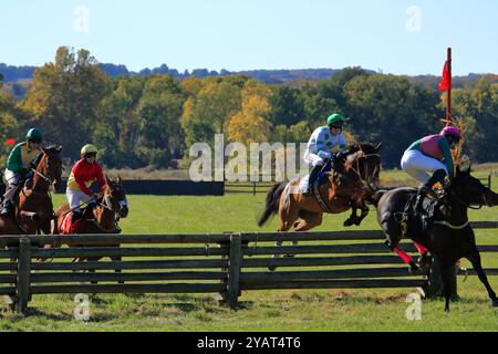 Geneseo, NY, États-Unis - 12 octobre 2024 - Horse and Rider franchit Un saut au-dessus du bois pendant les courses Genesee Valley Hunt. Dixième course, la vallée de Genesee Banque D'Images