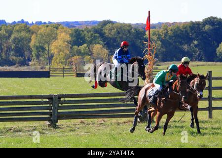 Geneseo, NY, États-Unis - 12 octobre 2024 - Horse and Rider franchit Un saut au-dessus du bois pendant les courses Genesee Valley Hunt. Dixième course, la vallée de Genesee Banque D'Images