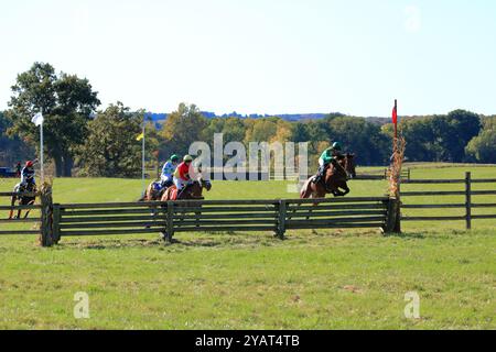 Geneseo, NY, États-Unis - 12 octobre 2024 - Horse and Rider franchit Un saut au-dessus du bois pendant les courses Genesee Valley Hunt. Dixième course, la vallée de Genesee Banque D'Images