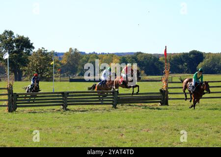 Geneseo, NY, États-Unis - 12 octobre 2024 - Horse and Rider franchit Un saut au-dessus du bois pendant les courses Genesee Valley Hunt. Dixième course, la vallée de Genesee Banque D'Images