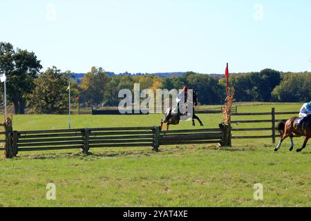 Geneseo, NY, États-Unis - 12 octobre 2024 - Horse and Rider franchit Un saut au-dessus du bois pendant les courses Genesee Valley Hunt. Dixième course, la vallée de Genesee Banque D'Images