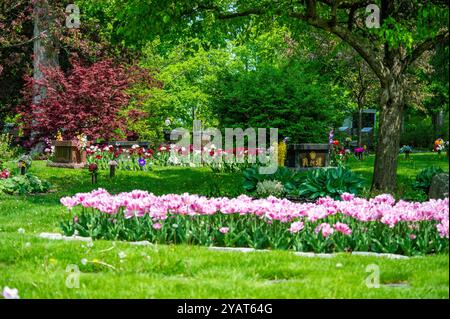 Cimetière Beechwood pendant la saison d'automne, Ottawa, Ontario, Canada Banque D'Images