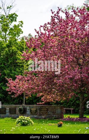 Tombes et arbres, Beechwood Banque D'Images