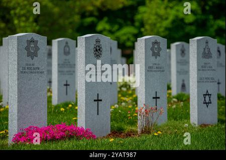 Tombes au cimetière Beechwood Banque D'Images