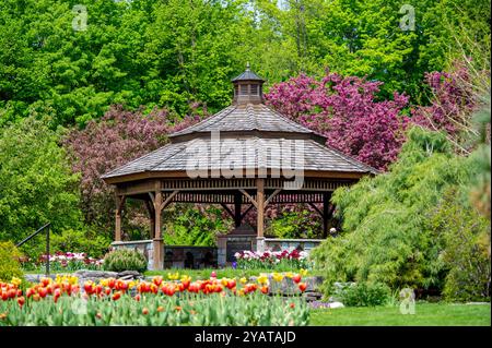 ProE. Maxwell Cohen & Isle A. Cohen - Beechwood Banque D'Images