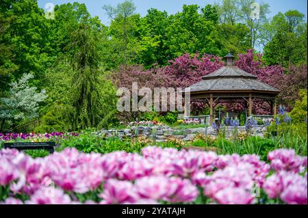 ProE. Maxwell Cohen & Isle A. Cohen - Beechwood Banque D'Images