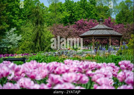 ProE. Maxwell Cohen & Isle A. Cohen - Beechwood Banque D'Images