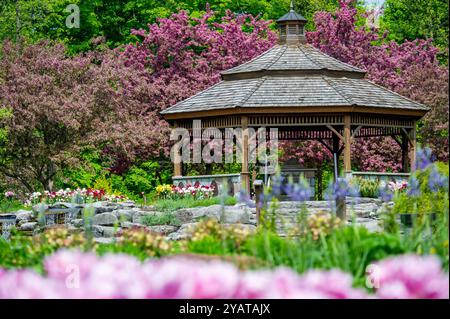 ProE. Maxwell Cohen & Isle A. Cohen - Beechwood Banque D'Images