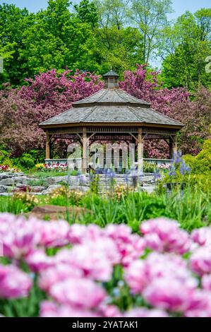 ProE. Maxwell Cohen & Isle A. Cohen - Beechwood Banque D'Images