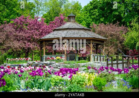 ProE. Maxwell Cohen & Isle A. Cohen - Beechwood Banque D'Images