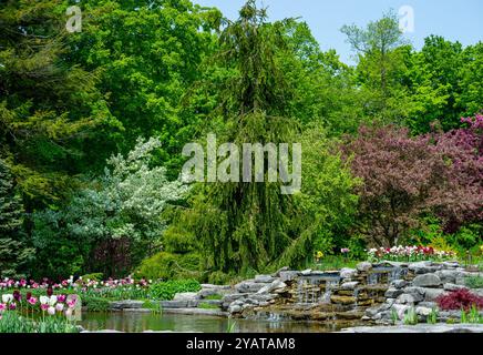 Jardin à côté de ProE. Maxwell Cohen & Isle A. Cohen - Beechwood Banque D'Images