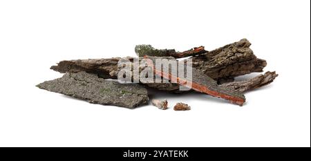 Tas de morceaux d'écorce d'arbre isolés sur blanc Banque D'Images