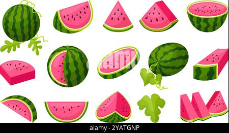Pastèque de dessin animé. Tranches coupées pastèques, fruits de régime dessert. Baies tropicales fraîches sucrées des aliments végétaliens sains. Temps de récolte, ensemble de vecteurs néotériques Illustration de Vecteur